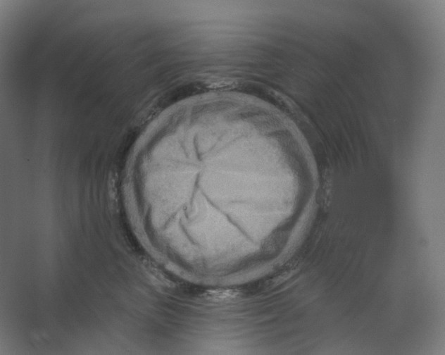X0000066510667200604141749