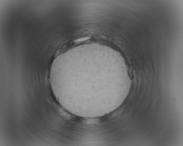 X0000066510670200604141749