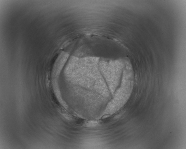 X0000066510671200604141749