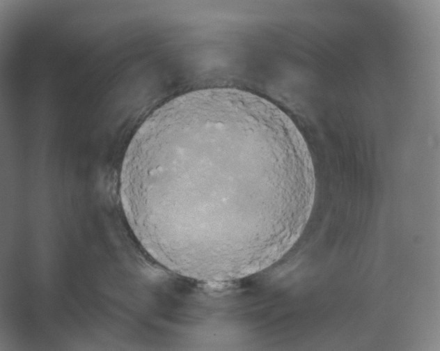 X0000066510672200604141749