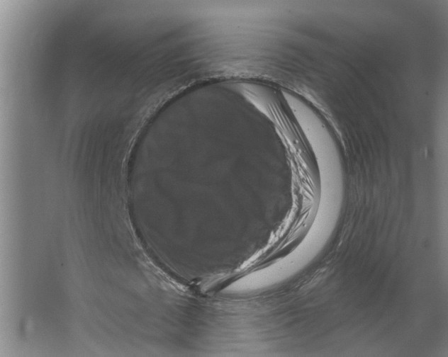 X0000066510673200604141749