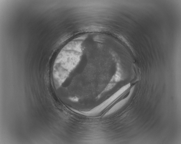 X0000066510675200604141749
