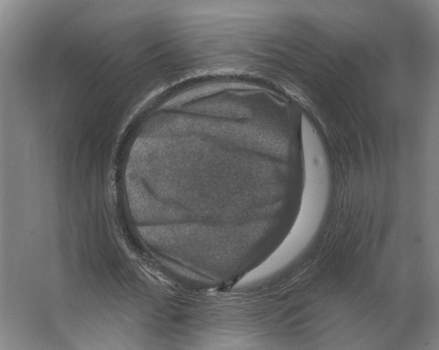 X0000066510676200604141749