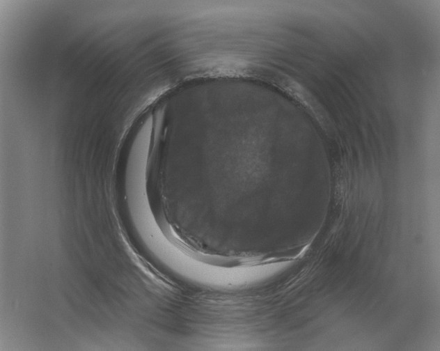 X0000066510677200604141749