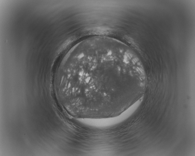 X0000066510679200604141749