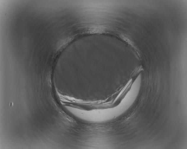 X0000066510681200604141749