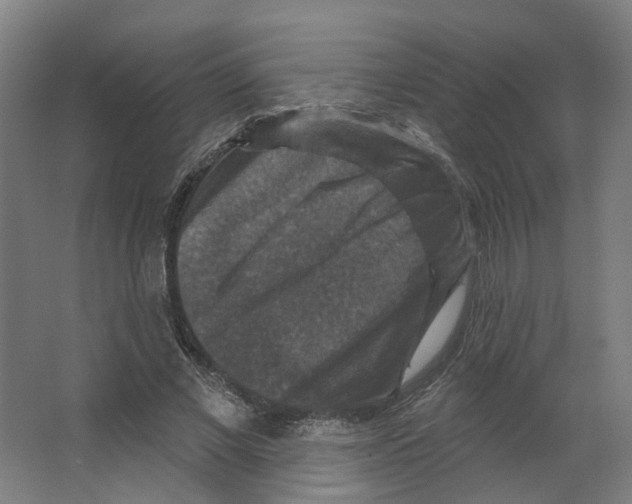 X0000066510685200604141748