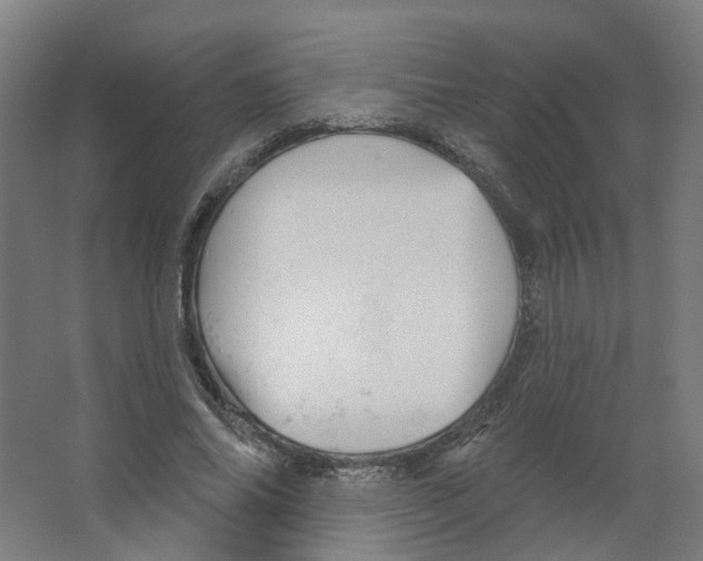 X0000066510686200604141748