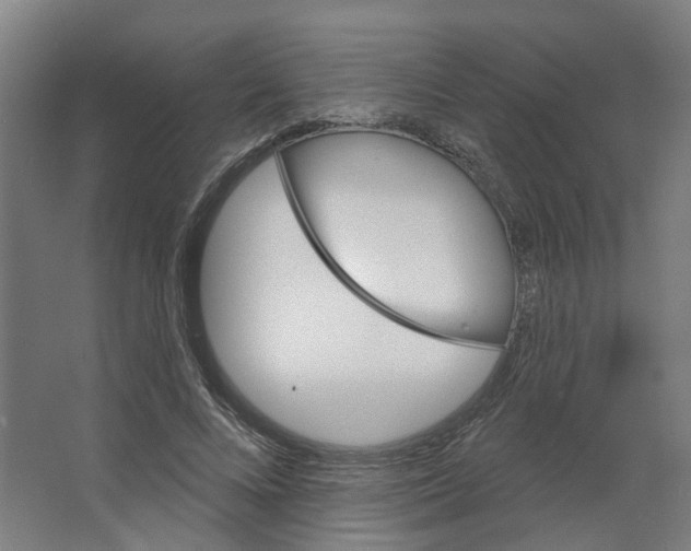 X0000066510688200604141748