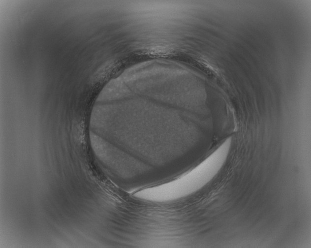 X0000066510689200604141748