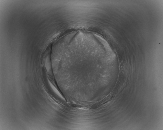 X0000066510692200604141748