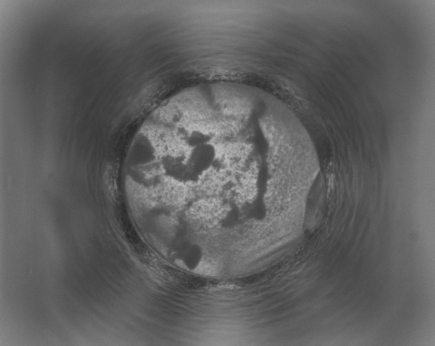 X0000066510695200604141748