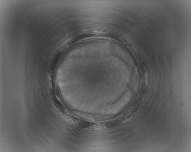 X0000066510696200604141748