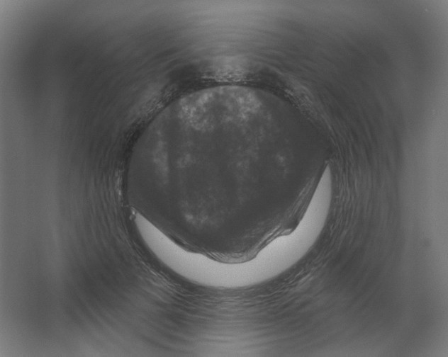 X0000066510697200604141748