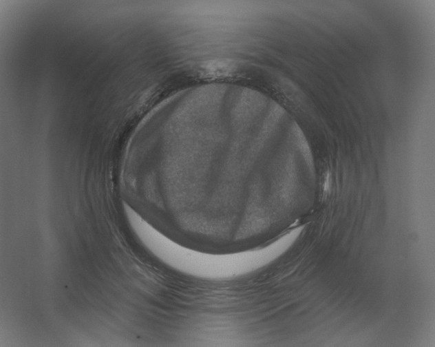 X0000066510700200604141748