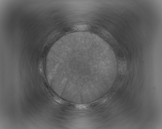 X0000066510701200604141748