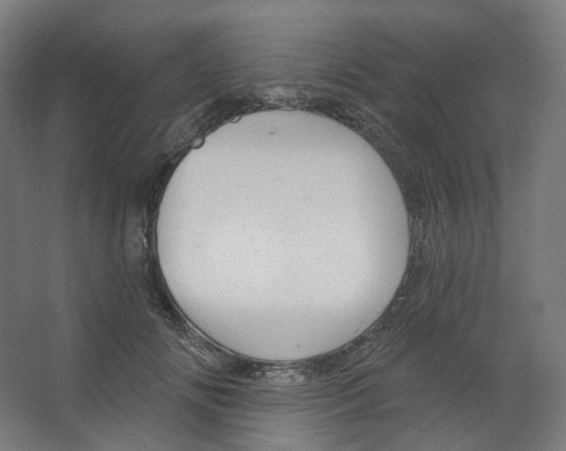 X0000066510702200604141748