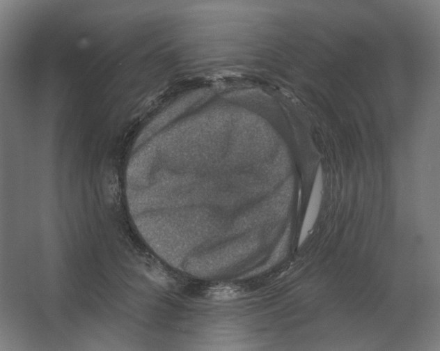 X0000066510704200604141748