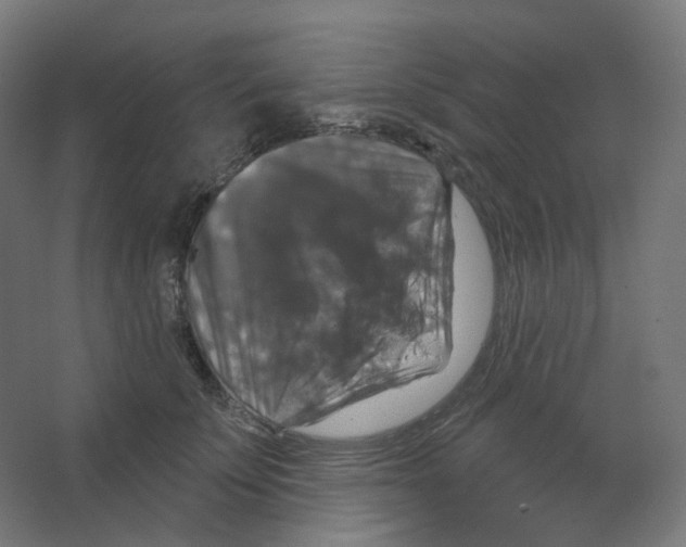 X0000066510707200604141748