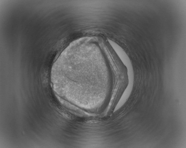 X0000066510708200604141748
