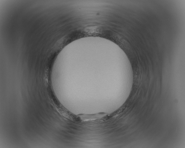 X0000066510710200604141748