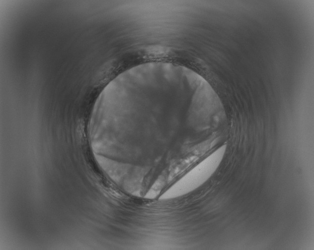 X0000066510711200604141748