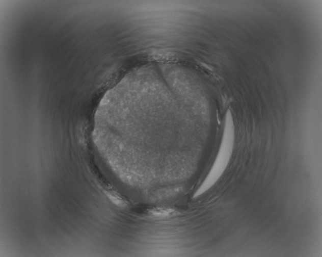 X0000066510712200604141748
