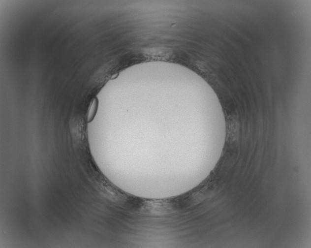 X0000066510713200604141748