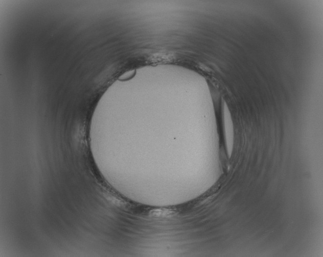 X0000066510714200604141748