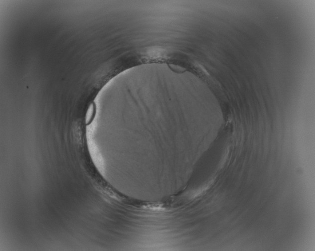 X0000066510715200604141748