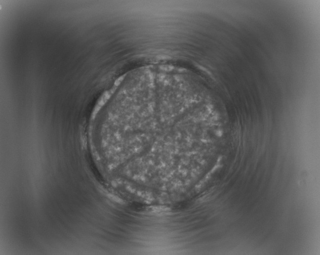 X0000066510719200604141748