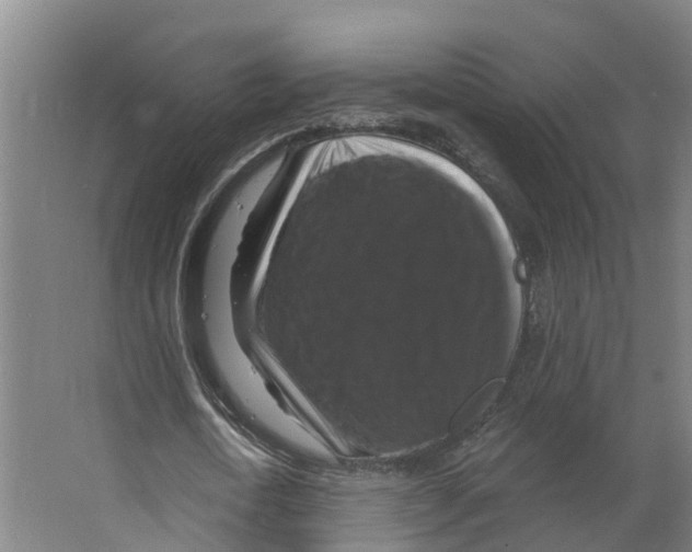X0000066510722200604141747