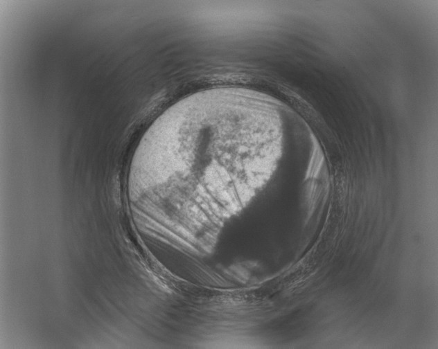 X0000066510729200604141747