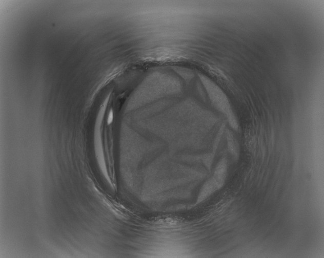 X0000066510735200604141747