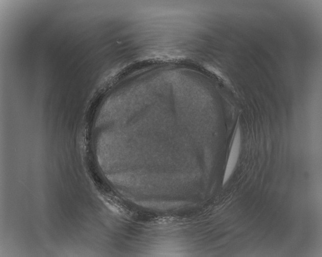 X0000066510736200604141747