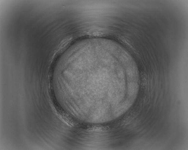 X0000066510738200604141747
