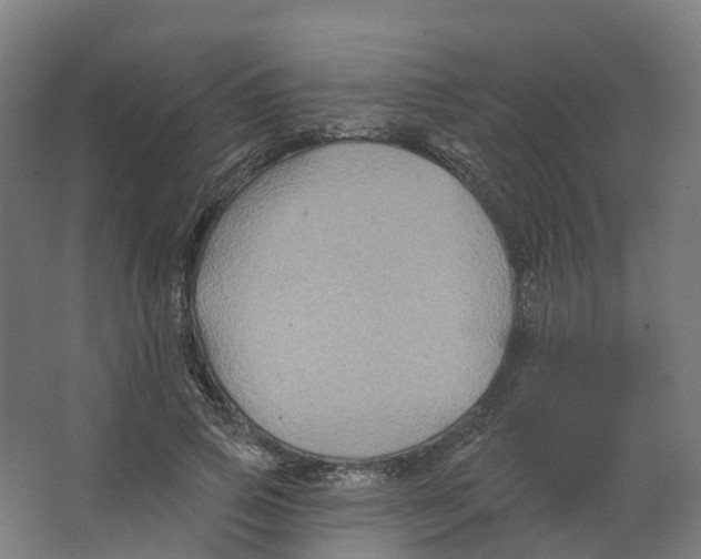 X0000066510741200604141747