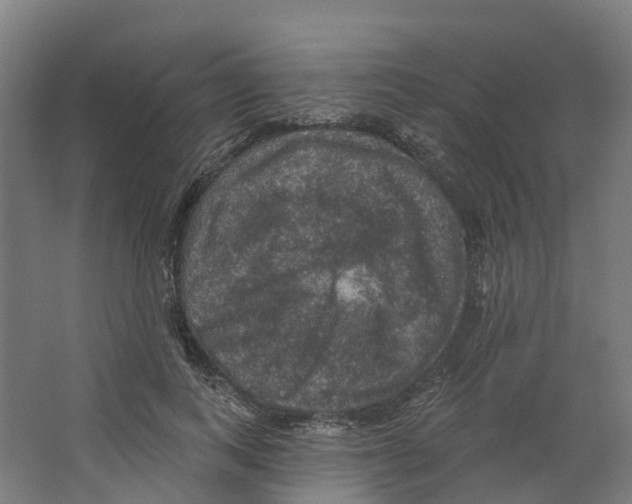 X0000066510743200604141747