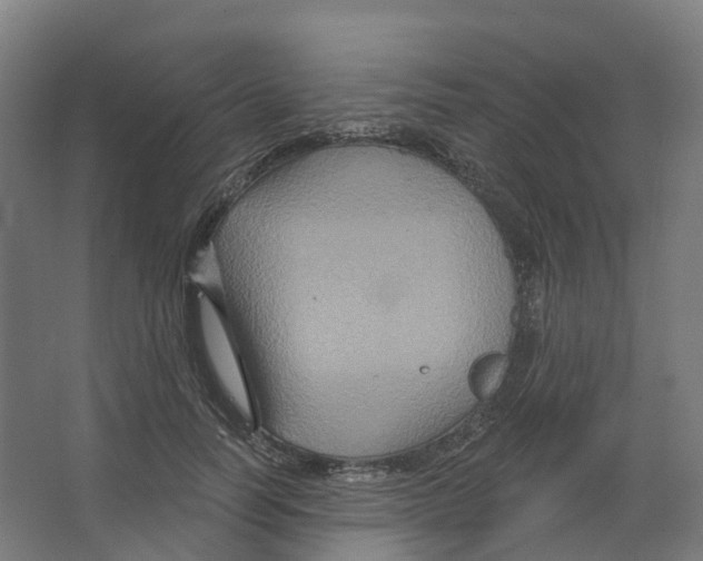 X0000066510746200604141748