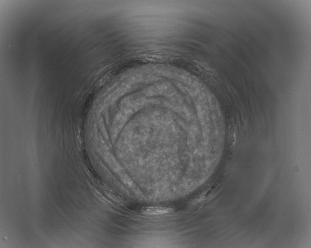 X0000066510749200604141748