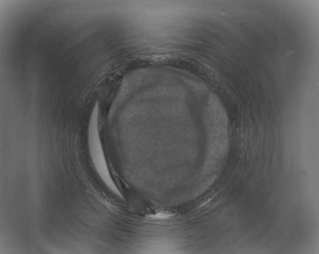 X0000066510750200604141748
