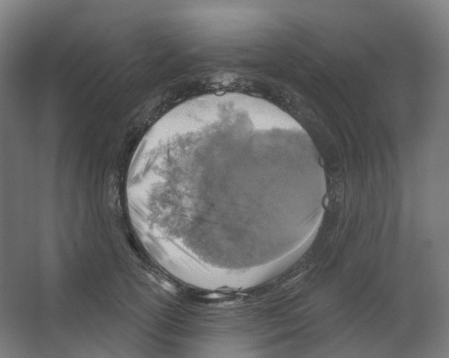 X0000066510754200604141748