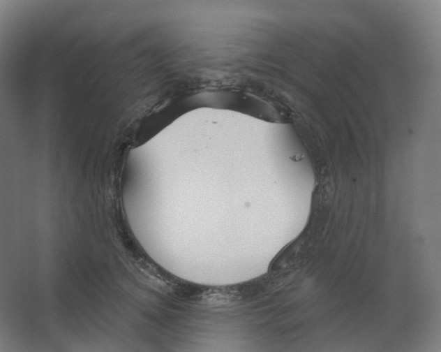 X0000066510756200604141748