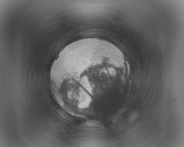 X0000066510758200604141748