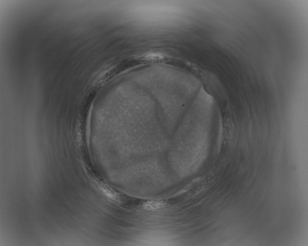 X0000066510762200604141748
