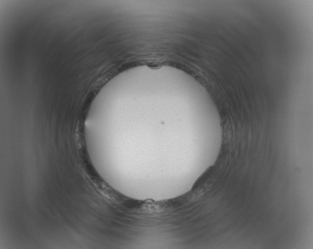 X0000066510764200604141748