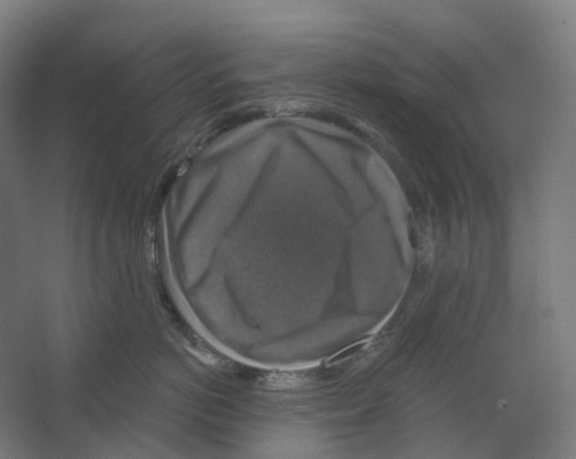 X0000066510766200604141748