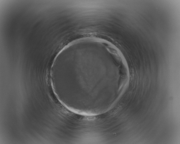 X0000066510767200604141748