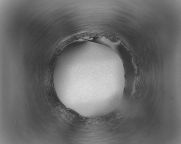 X0000066510773200604141747