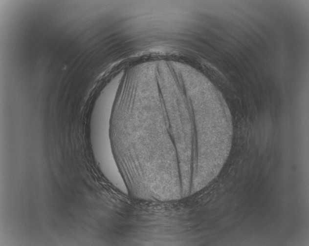 X0000066510776200604141747